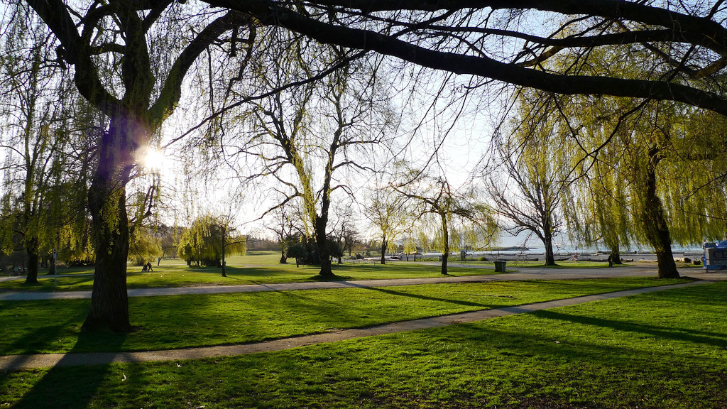 The grassy picnic-perfect area of Jericho Beach