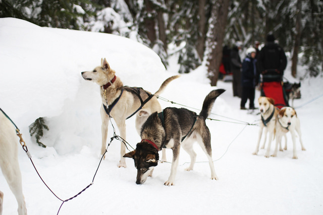 Photo by profernity on Flickr: https://flic.kr/p/kzo9Xu