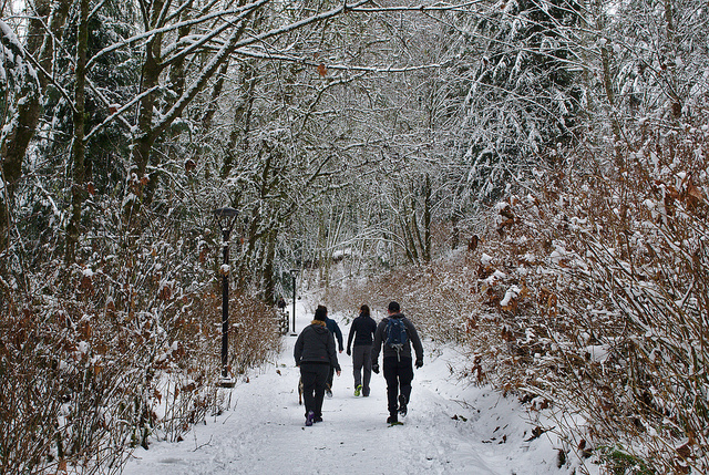 Photo of Lynn Canyon by Adam Harvey on Flickr: https://flic.kr/p/iye8GA