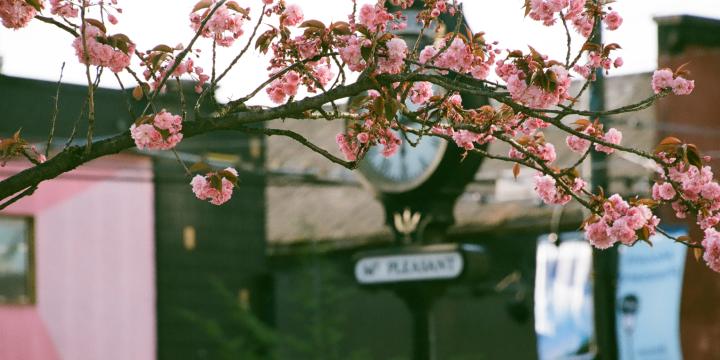 Photo of a blurred scene of a background in Mount Pleasant
