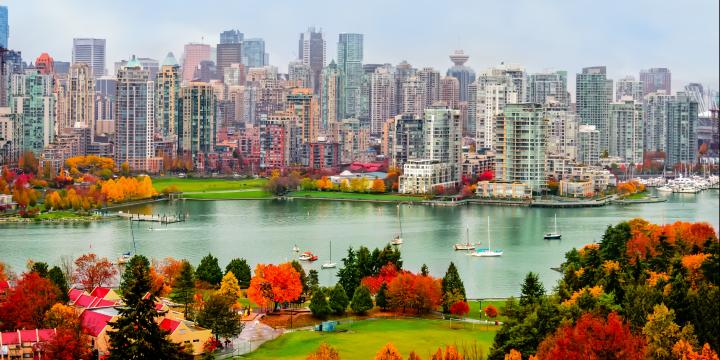 Vancouver Skyline with Fall Trees