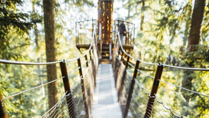 Treetop adventure at Capilano Suspension Bridge Park