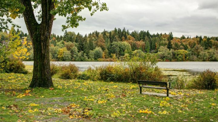 Lake-side with grass at Deer Lake Park