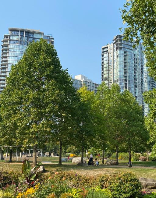 David Lam Park by fyipic on Instagram