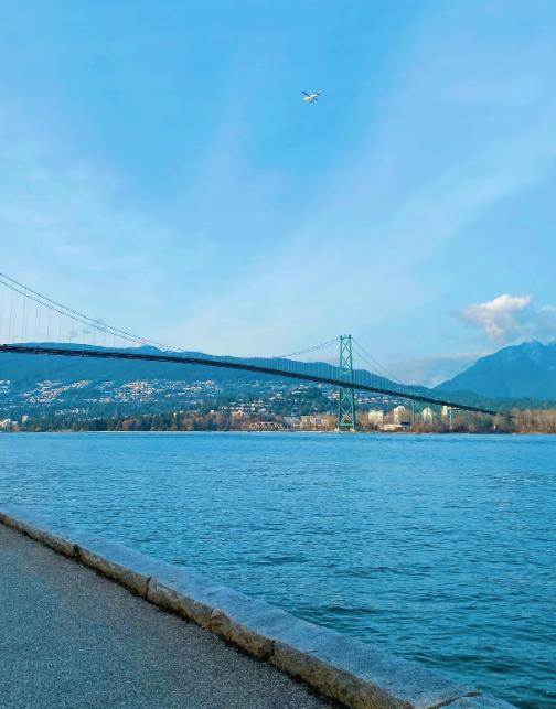 Stanley Park Seawall by stephaniegalt on Instagram