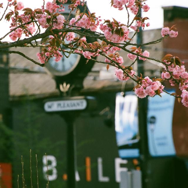 Photo of a blurred scene of a background in Mount Pleasant